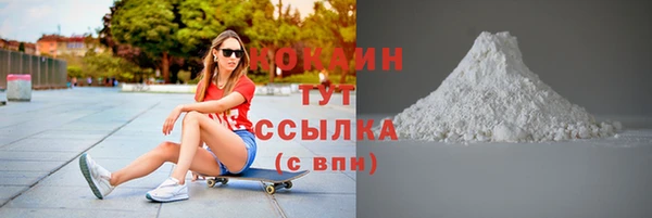 амф Козельск