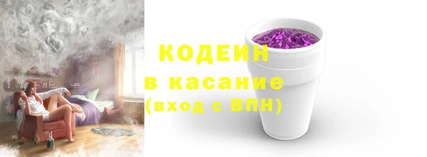 амф Козельск