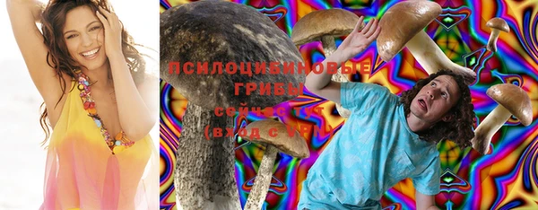 стаф Кодинск