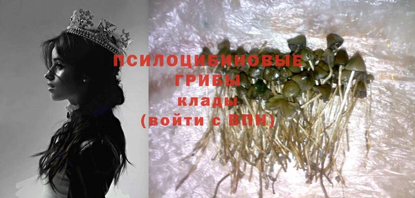 синтетический гашиш Козловка