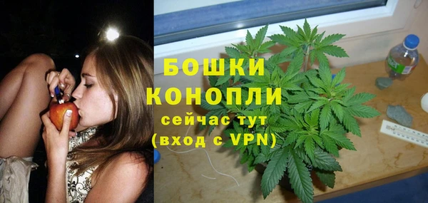 амф Козельск