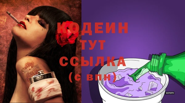 стаф Кодинск