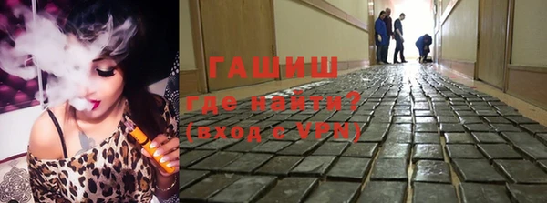 стаф Кодинск