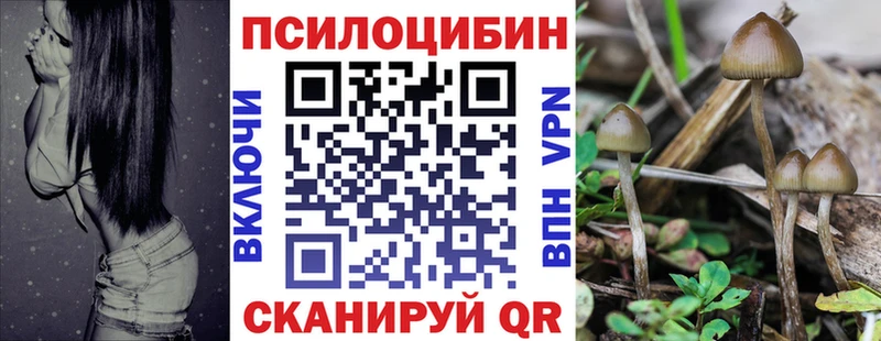 Купить где  Новотроицк  Псилоцибиновые грибы Psilocybine cubensis 